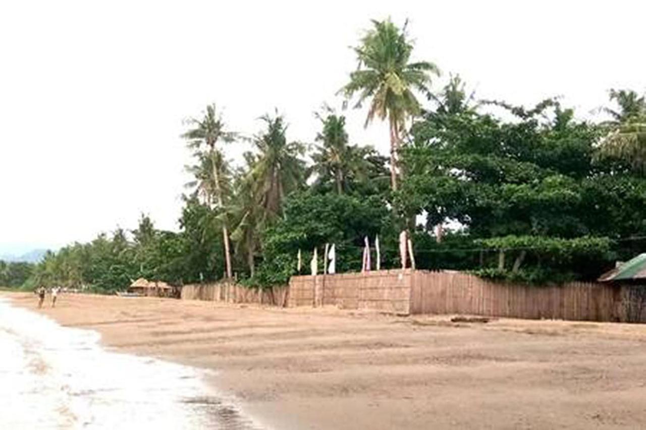 Leizel'S Bed & Breakfast Palompon 外观 照片